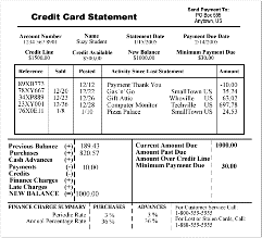 Pay credit card before statement